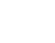 The Franchise Coach